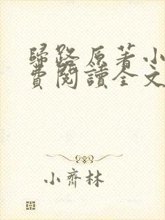 归路原著小说免费阅读全文封面