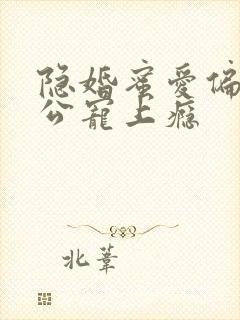 隐婚蜜爱偏执老公宠上瘾