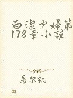 白洁少妇第1一178章小说封面