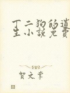 丁二狗的逍遥人生小说免费阅读封面