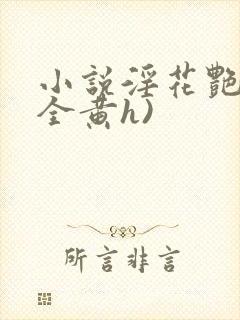 小说淫花艳史(全黄h)