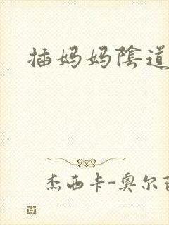 插妈妈阴道小说封面