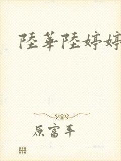 陆华陆婷婷封面