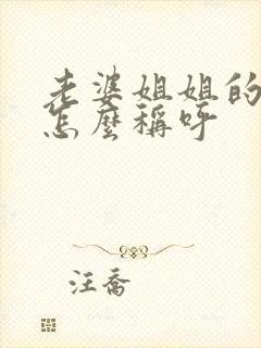 老婆姐姐的丈夫怎么称呼封面