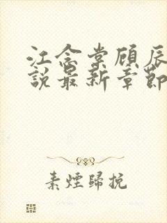 江念棠顾辰聿小说最新章节免费阅读