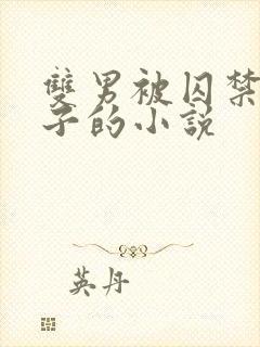 双男被囚禁还生子的小说