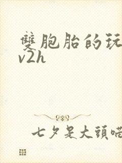 双胞胎的玩具1v2h