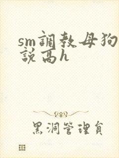 sm调教母狗小说高h