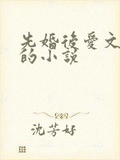 先婚后爱文笔好的小说