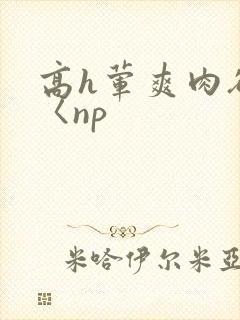 高h荤爽肉欲文〈np封面