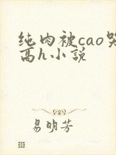 纯肉被cao哭高h小说
