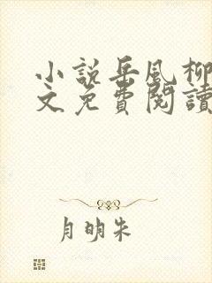小说岳风柳萱全文免费阅读封面