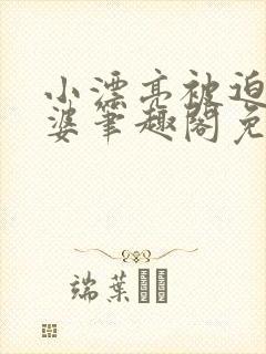 小漂亮被迫当老婆笔趣阁免费阅读封面