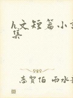 h文短篇小说合集