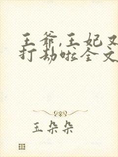 王爷,王妃又去打劫啦全文免费阅读
