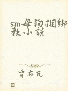 sm母狗捆绑调教小说