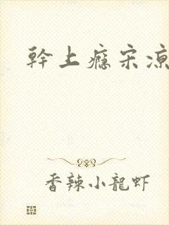 干上瘾宋凉向周封面