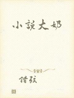 小说大奶