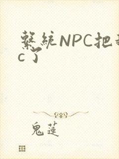 系统NPC把我c了