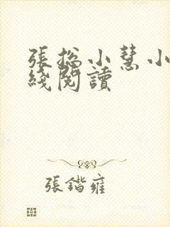 张总小慧小说在线阅读