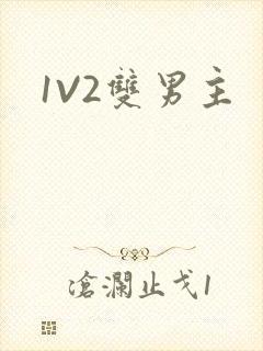 1V2双男主
