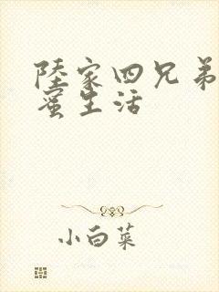 陆家四兄弟的甜蜜生活