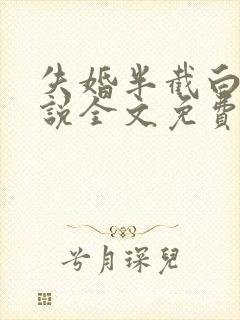失婚半截白菜小说全文免费阅读封面