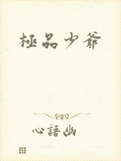 极品少爷