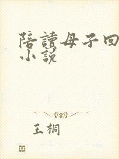 陪读母子回老家小说封面