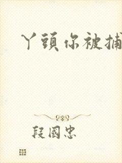 丫头你被捕了封面