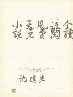 小天风流全集小说免费阅读封面