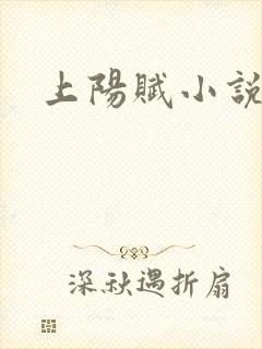 上阳赋小说