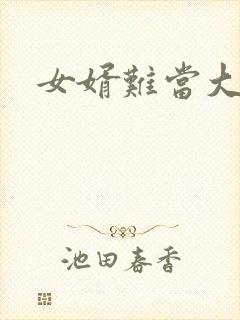 女婿难当大结局封面
