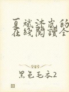 夏斌沐岚的小说在线阅读全文封面