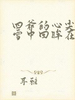 四爷的心尖宠妃雪中回眸在线小说免费