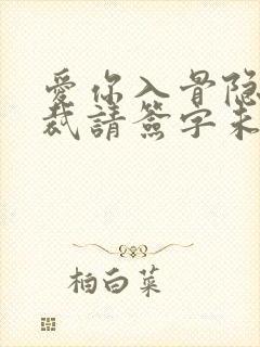 爱你入骨隐婚总裁请签字未删减