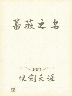 蔷薇之名封面