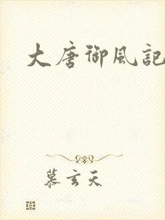 大唐御风记