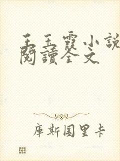 王玉霞小说免费阅读全文