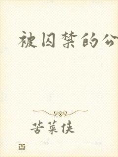 被囚禁的公主封面