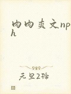 肉肉爽文np高h