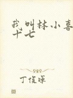 我叫林小喜今年十七封面