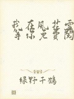 我在风花雪月里等你免费阅读全文