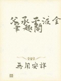 父承子液金银花 笔趣阁封面