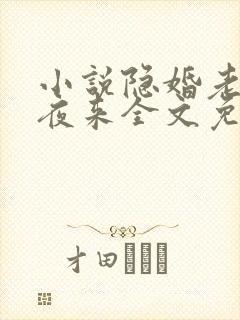 小说隐婚老公深夜来全文免费阅读