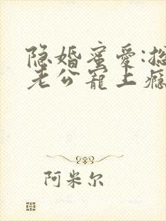 隐婚蜜爱:总裁老公宠上瘾