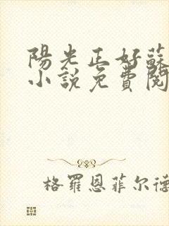 阳光正好苏玥玥小说免费阅读无弹窗
