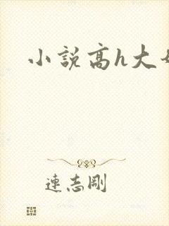 小说高h大奶封面