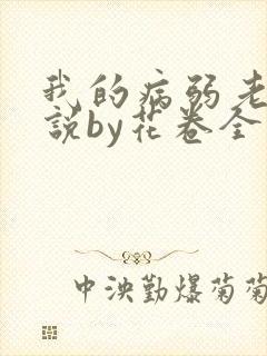 我的病弱老婆小说by花卷全文免费阅读封面