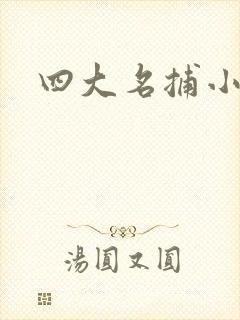 四大名捕小说